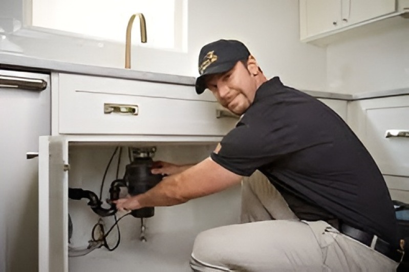 Garbage Disposal repair in Pinewood